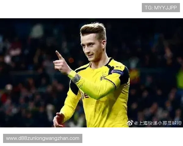 尊龙Z6中文站汇总玩家常见问题解答与技术支持服务内容