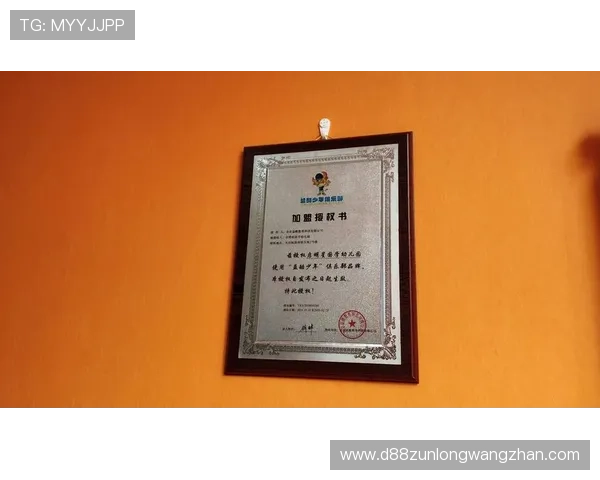 尊龙集团登录入口网站常见问题及解决方案全面解析